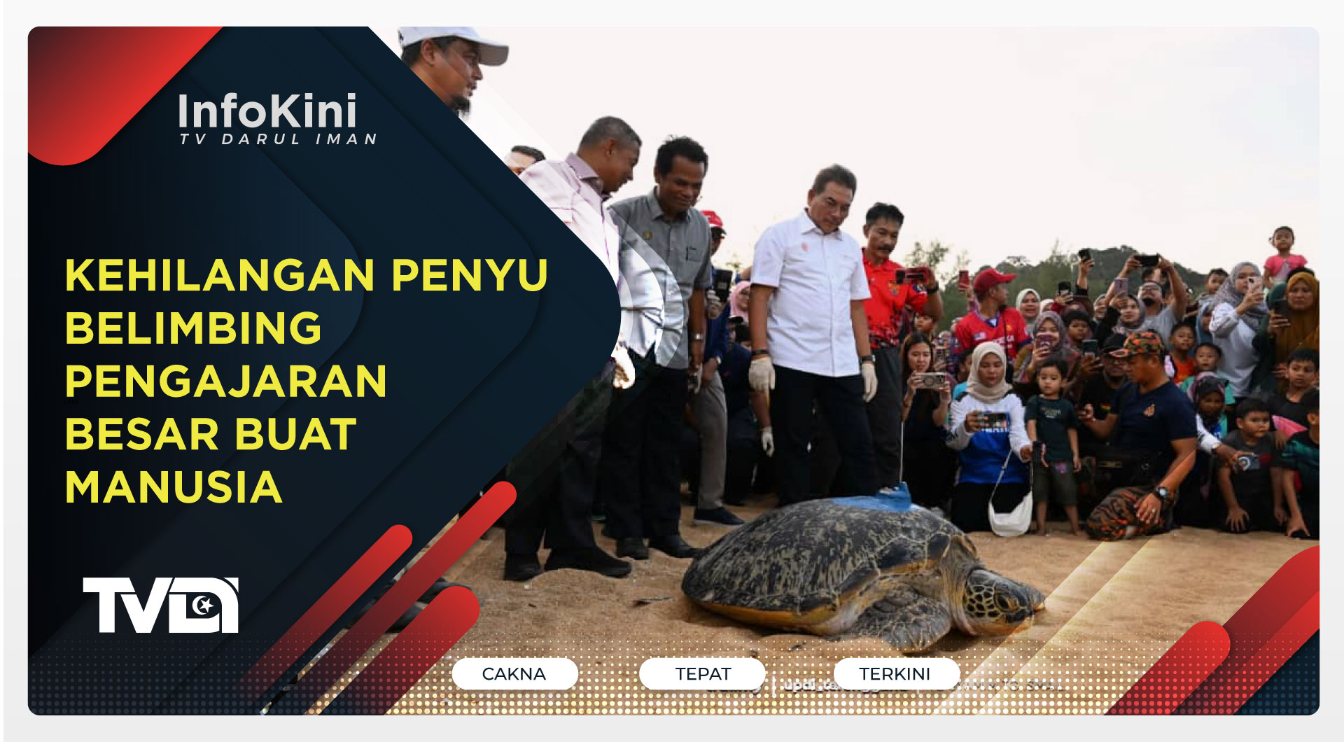 Kehilangan Penyu Belimbing Pengajaran Besar Buat Manusia