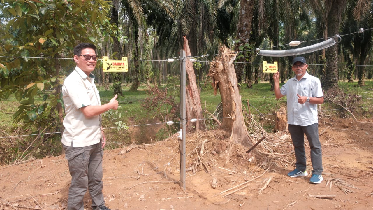 SPEG Atasi Gangguan Gajah Liar di DUN Langkap