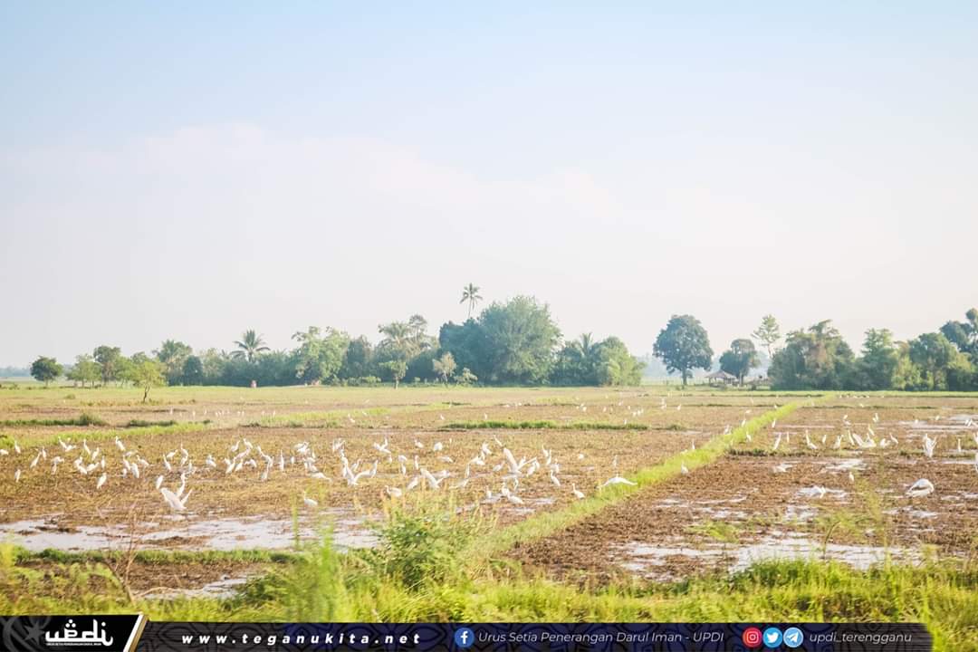 Terengganu 'Ajak' Bakat Muda Sertai Sektor Agromakanan