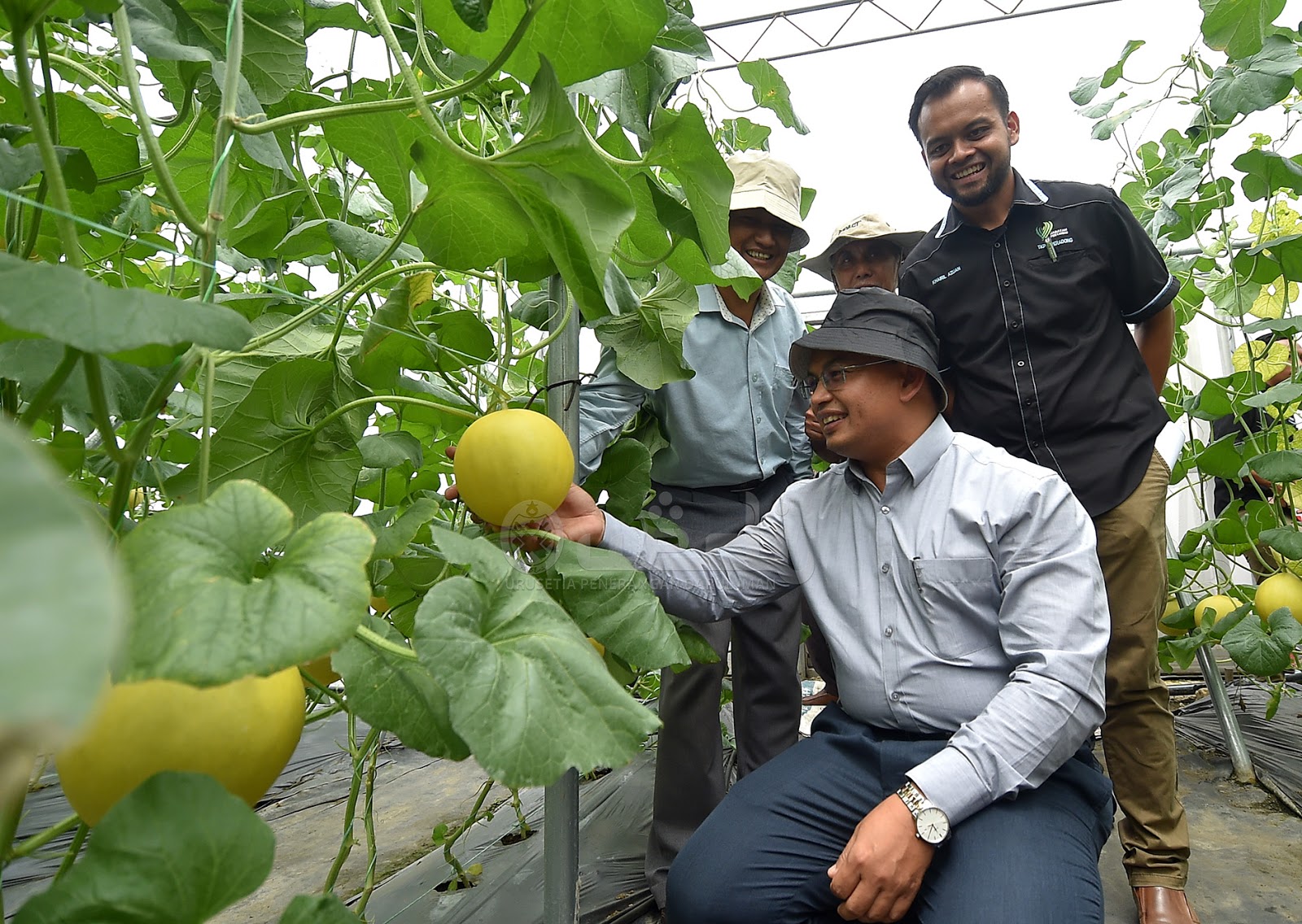 Tempoh Pajakan TKPM Dikurangkan Kepada 3 Tahun