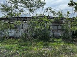 RM700 Ribu Baiki Reban Ayam