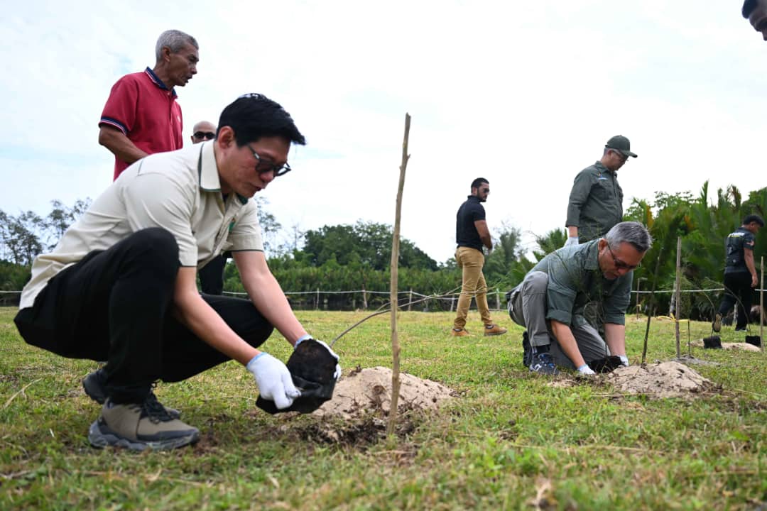 Tanah Bencah Aset Ekopelancongan Terengganu