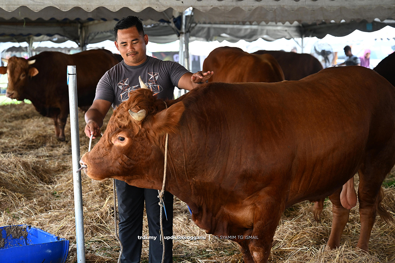 Makin Ramai Anak Muda Terengganu Pilih Pertanian Sebagai Kerjaya