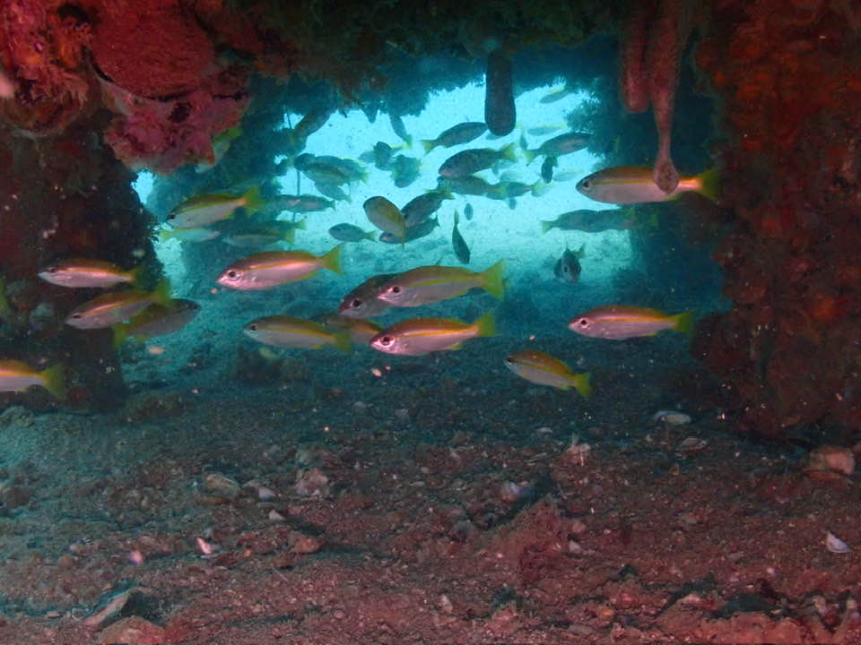 Tukun Terengganu Benteng Lautan Masa Hadapan