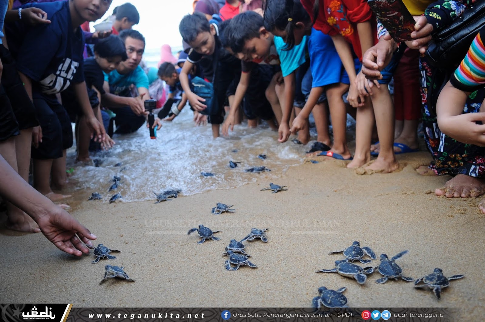 Penyu Terengganu : Jangan Biar Hanya Tinggal Nama