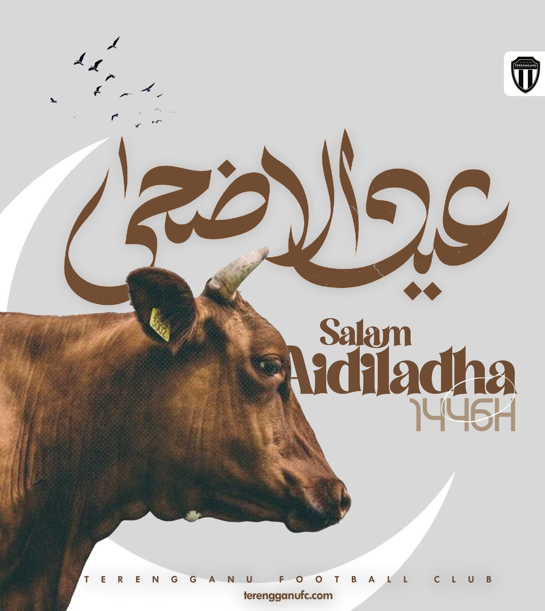 Sang Penyu Masih Bermandi Pasir