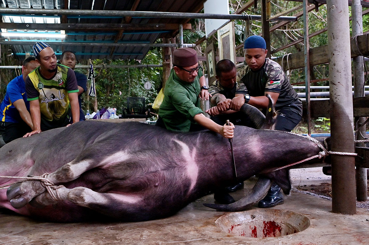 ADUN Batu Buruk Korban 10 Ekor Haiwan Sempena Aidiladha
