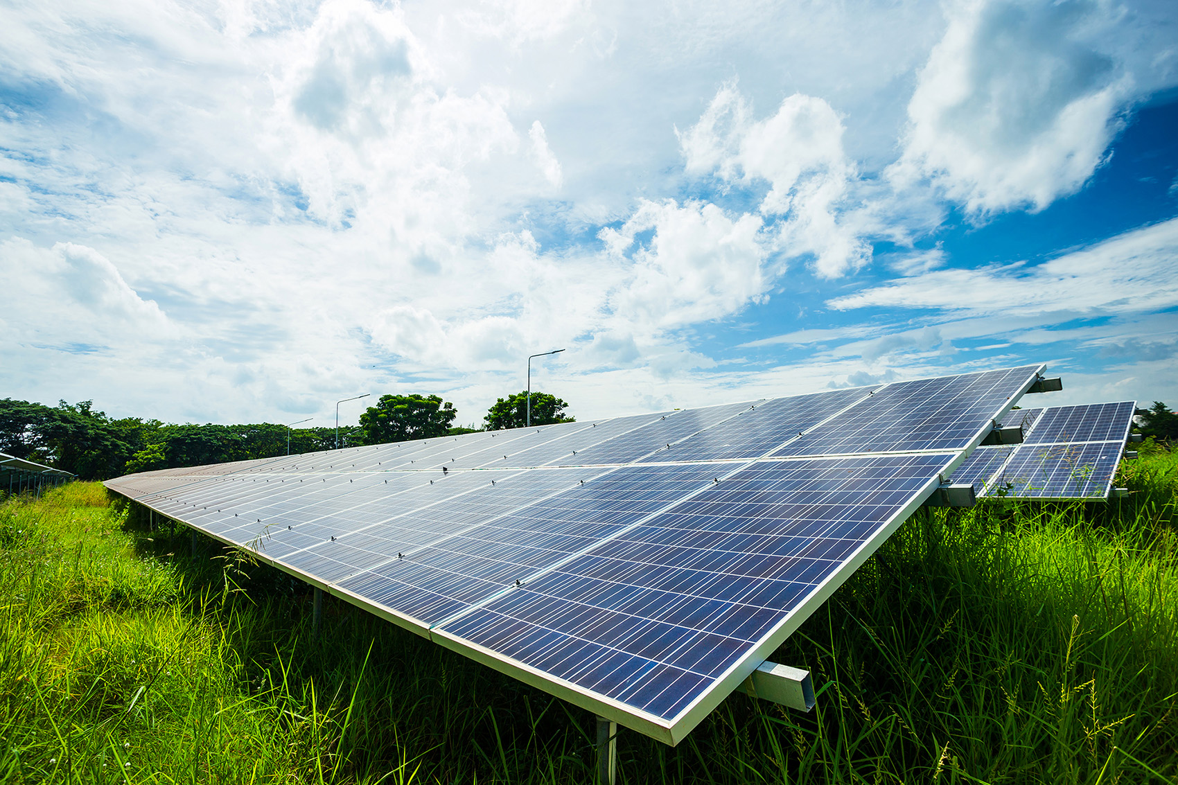 TDM Pacu Agenda Sifar Karbon, Tenaga Hijau Jadi Keutamaan