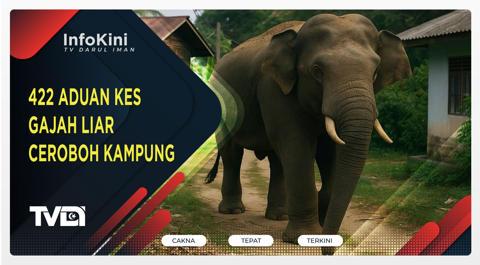 422 Aduan Kes Gajah Liar Ceroboh Kampung
