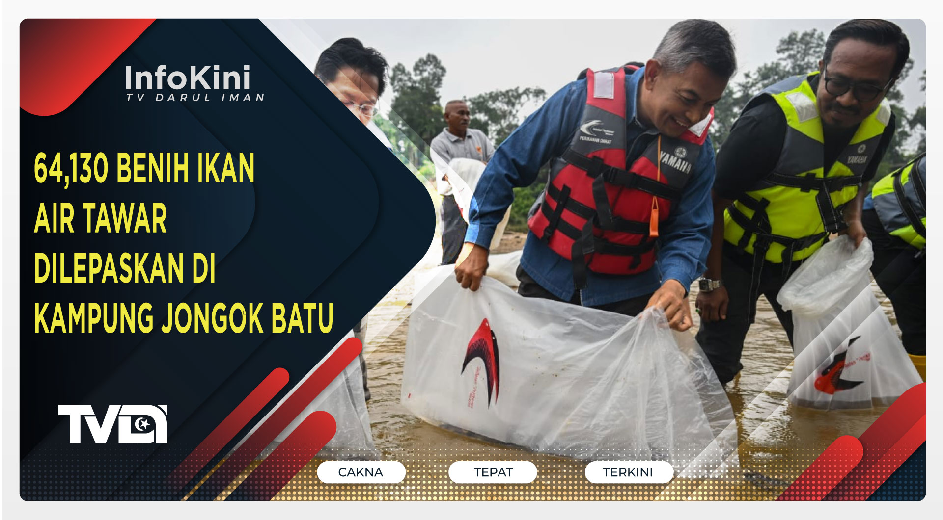 64,130 Benih Ikan Air Tawar Dilepaskan Di Kampung Jongok Batu