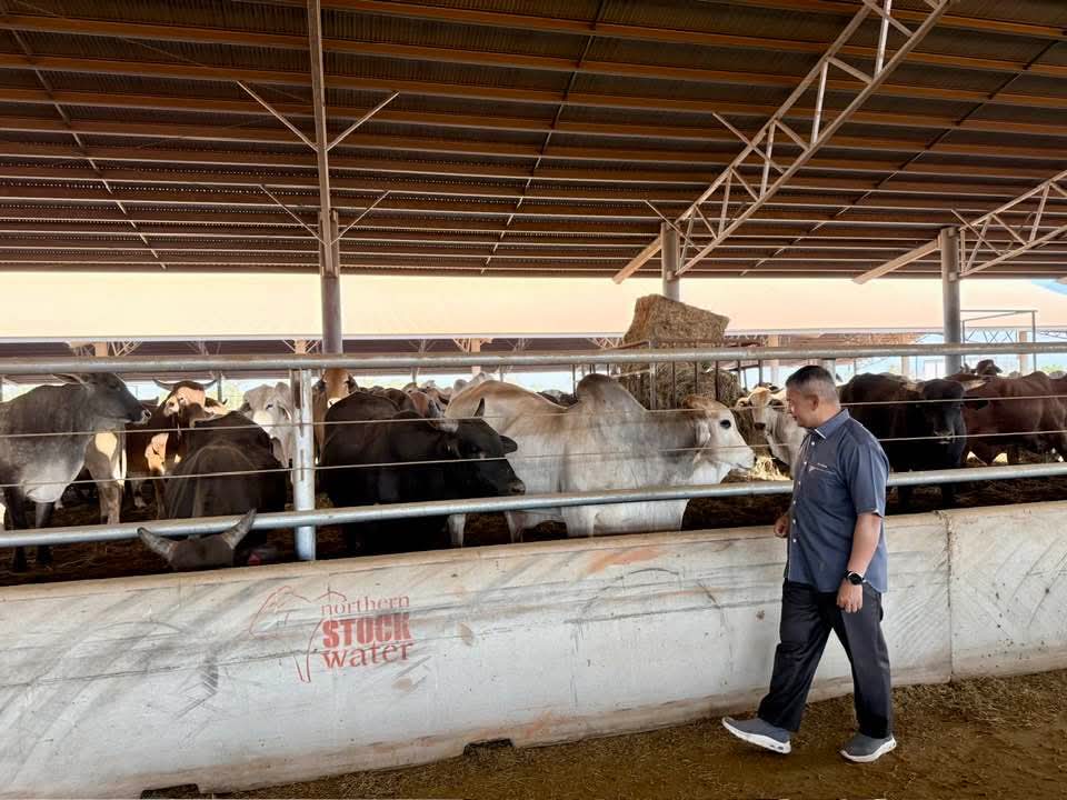 Terengganu Import Baka Brahman, Perkukuh Jaminan Bekalan Makanan