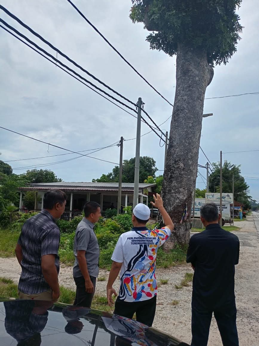 Kerja Penebangan Pokok Berisiko Di Laluan Pengkalan Atap–Mengabang Lekor Dipergiat