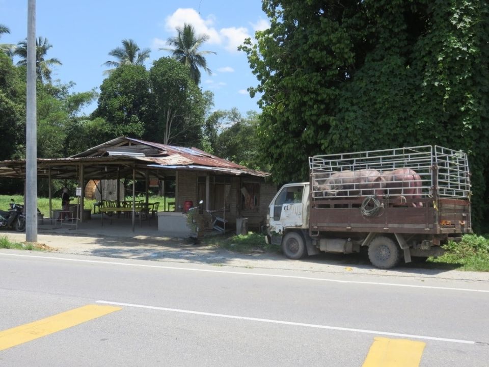 Jangan Pindah Ternakan Elak Wabak Merebak