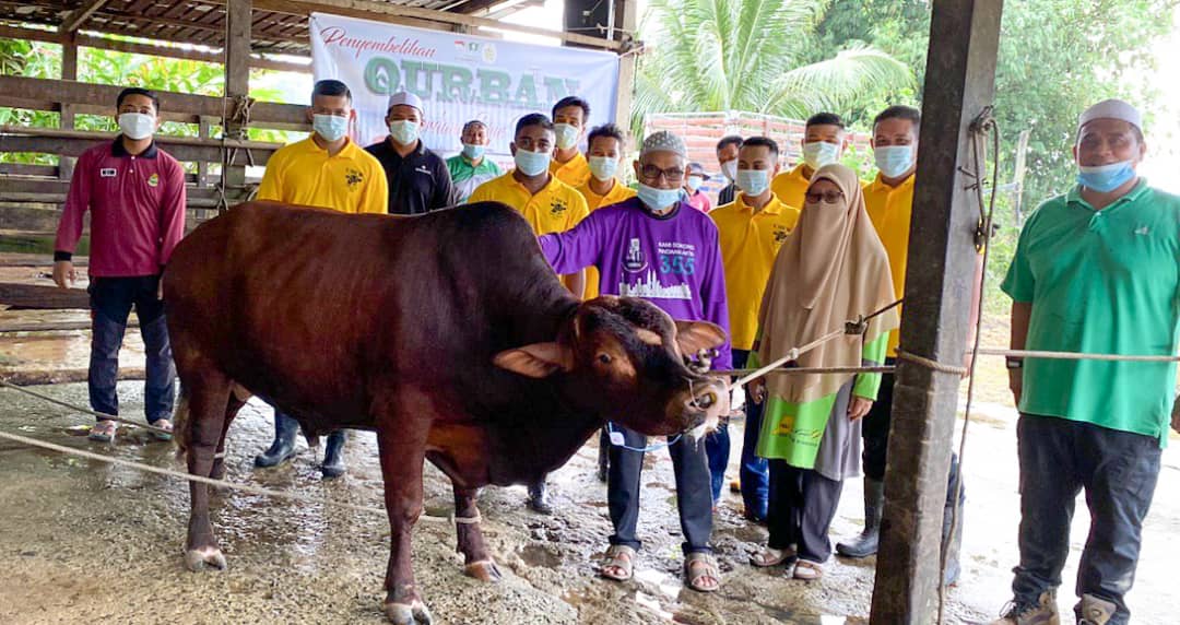 12 Ekor Lembu Korban Diagihkan Kepada Penduduk DUN Rantau Abang