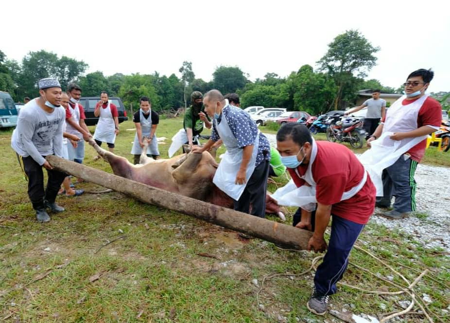 Korban Perdana Serlahkan Semangat Veteran dan Belia