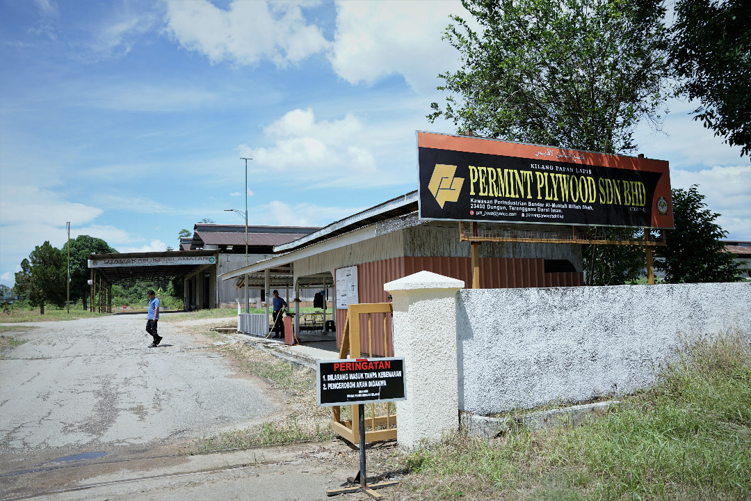 Bangkit Semula , Permint Plywood Sasar Keuntungan Dalam Tempoh Lima Tahun