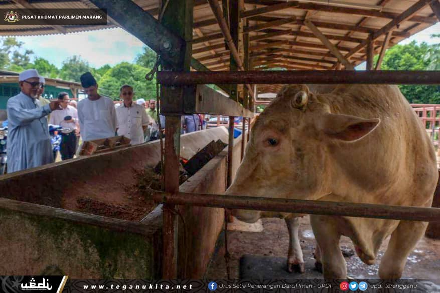 Abdul Hadi Tinjau Lembu Sado Milik Keluarga Eman Manan