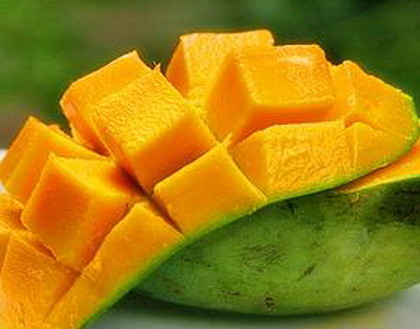 Harumanis Subur Di Negeri Terengganu