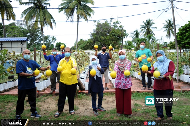 OKU Nikmati Hasil Melon Manis