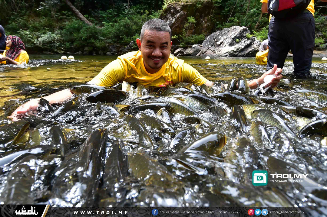 Santuari Kelah Tasik Kenyir Ditutup Sementara