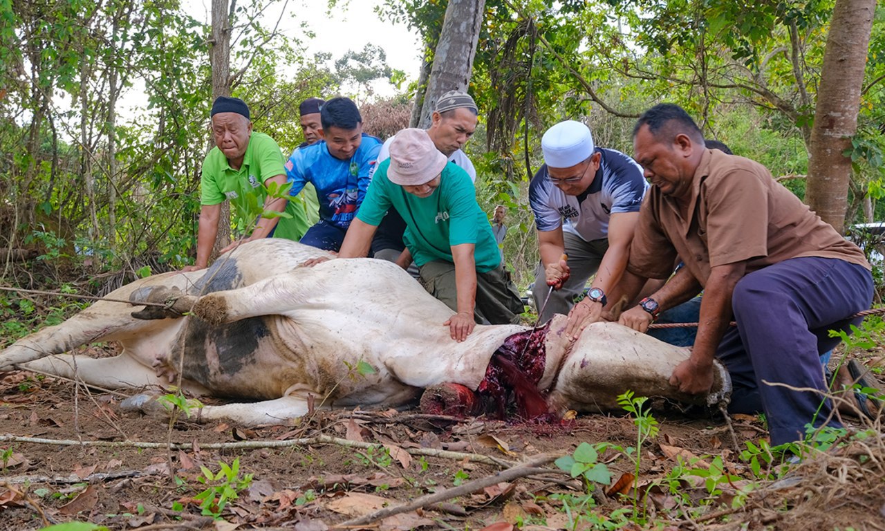 Terengganu Rangka SOP Pelaksanaan Ibadah Korban