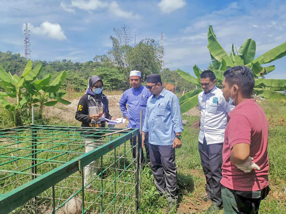 Perangkap Tambahan Dipasang, Elak Khinzir Masuk Bandar