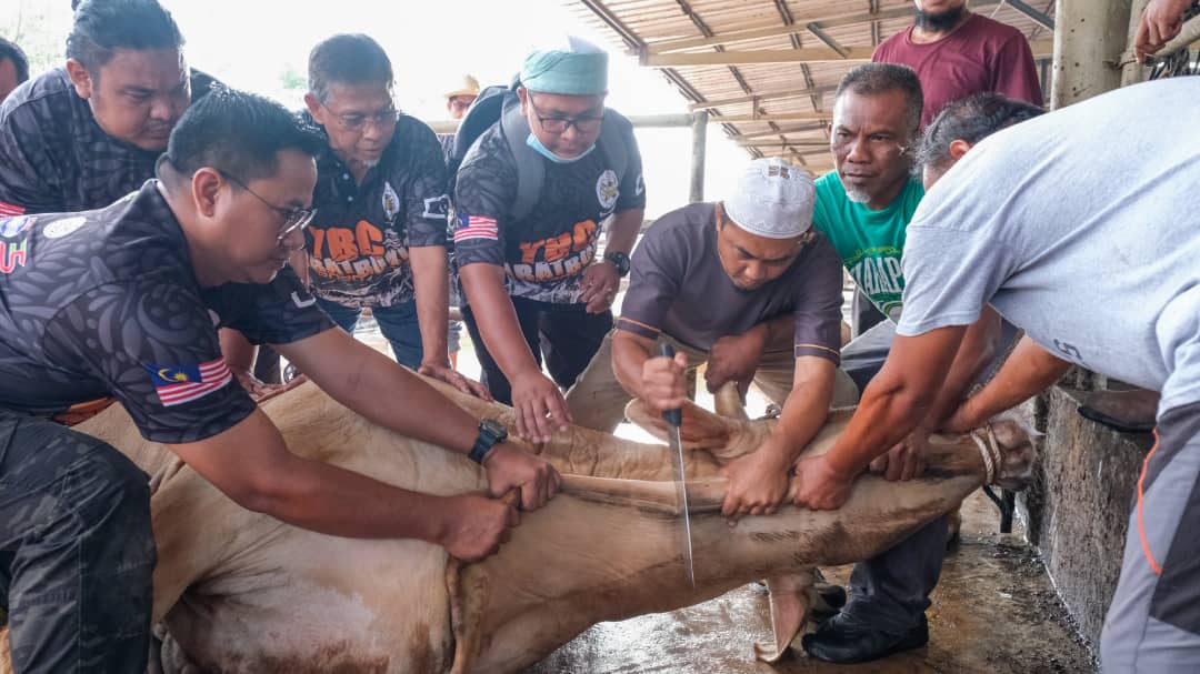 Hanafiah Agih 2,500 Daging Korban Untuk Penduduk Cukai