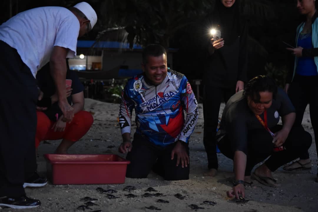 Lebih 100 Anak Penyu Dilepaskan Di Pulau Tenggol