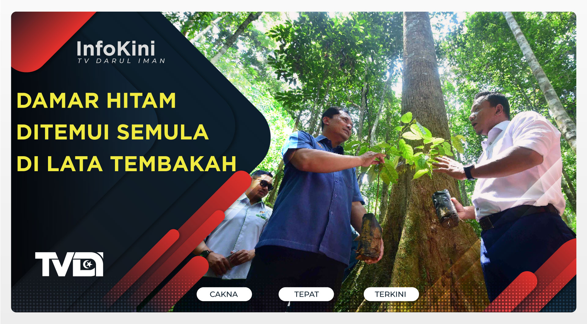 Damar Hitam Ditemui Semula Di Lata Tembakah