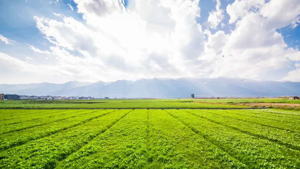 Harga Diesel Menggila, Terengganu Rangka Bantuan Segera Untuk Petani