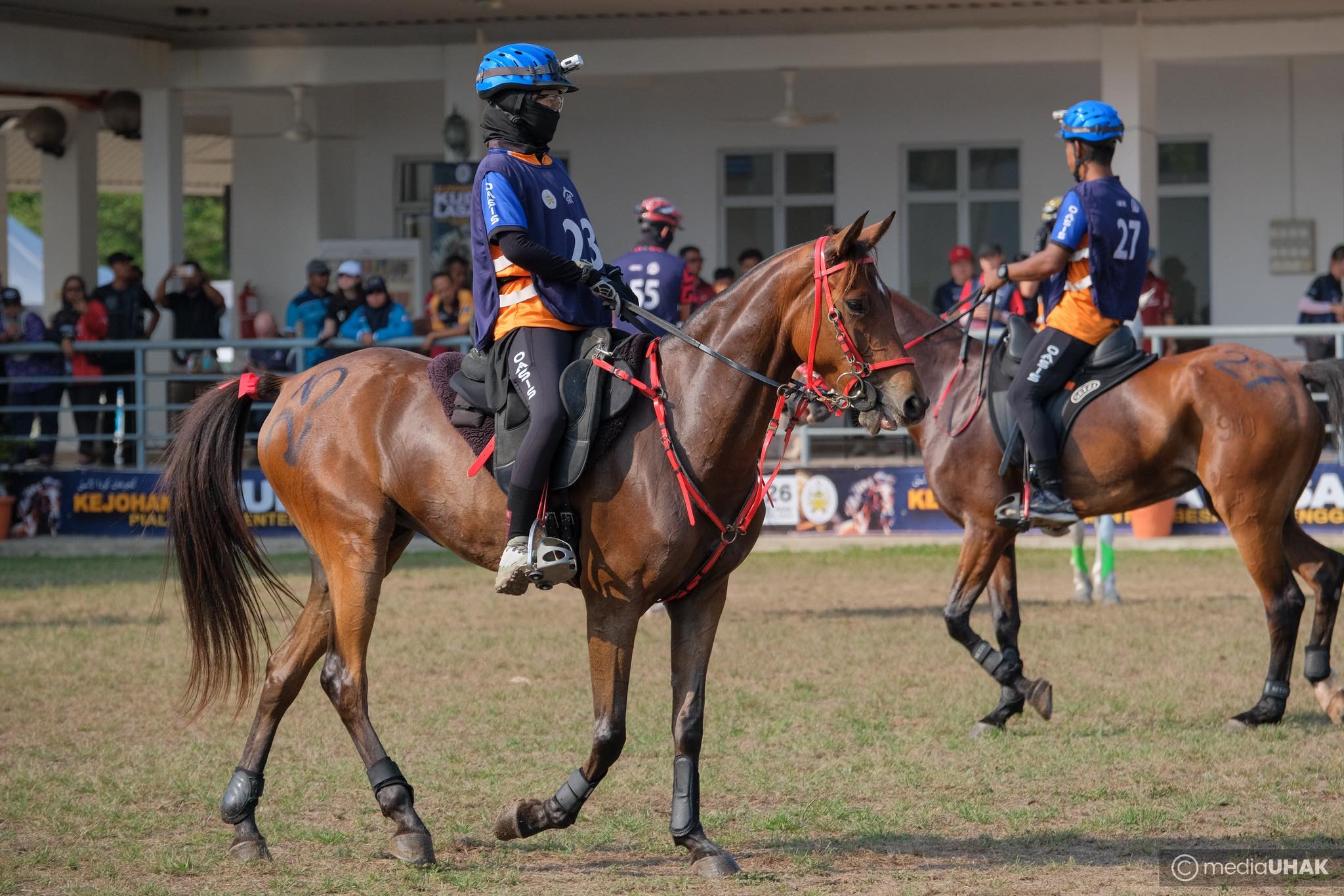 Kejohanan Kuda Lasak Piala Menteri Besar 2026 Labuh Tirai Hari Ini
