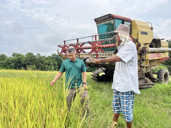 Kos Tinggi Himpit Pesawah, Exco Pertanian Desak Semakan Harga Lantai Padi