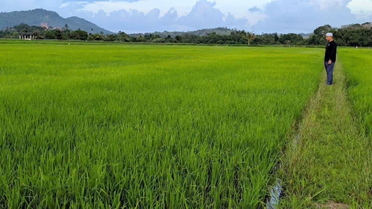 ‘Selagi Rakyat Makan Nasi, Tanah Sawah Tetap Dipertahankan’ - Dr Azman