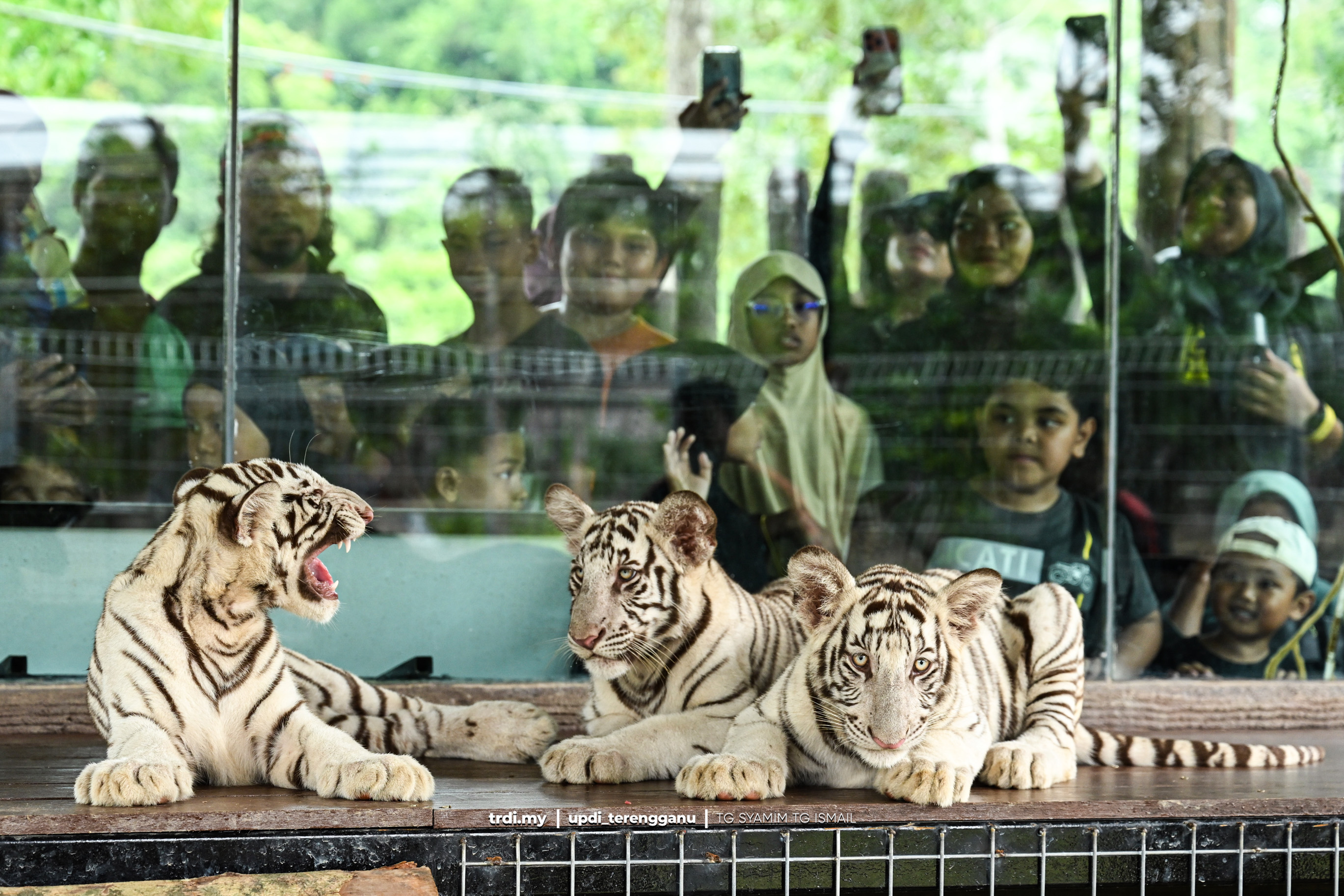 Ayuh Jumpa Rory, Bima dan DB di Zoo Kemaman 