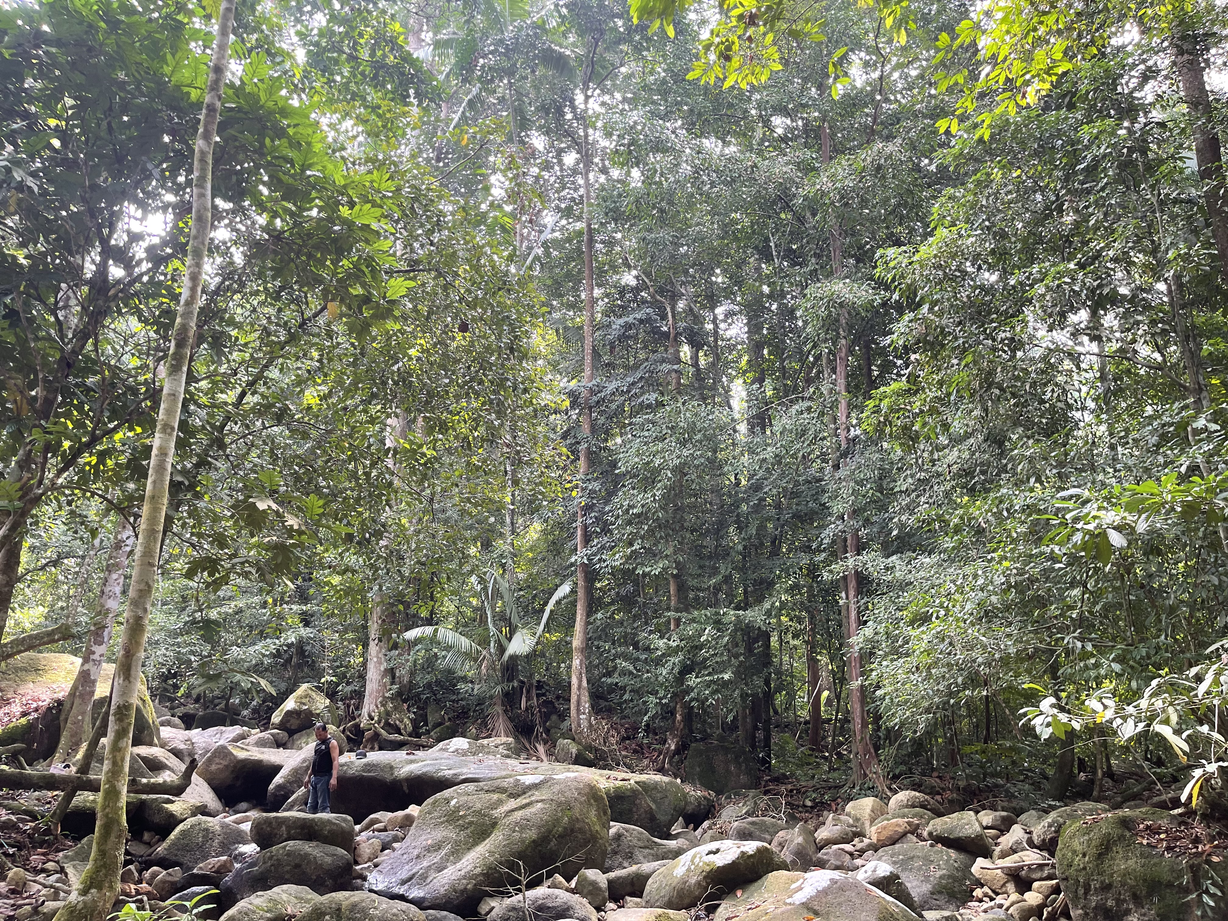 Air Terjun Menderu  Dinaik Taraf Menjelang Tahun Melawat Terengganu 2027