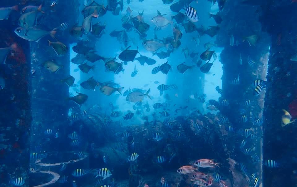 Terengganu Aplikasi Tiga Pendekatan Utama Nilai Keberkesanan Tukun