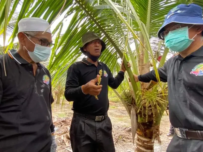 CSR Tani, Langkah Penjimatan