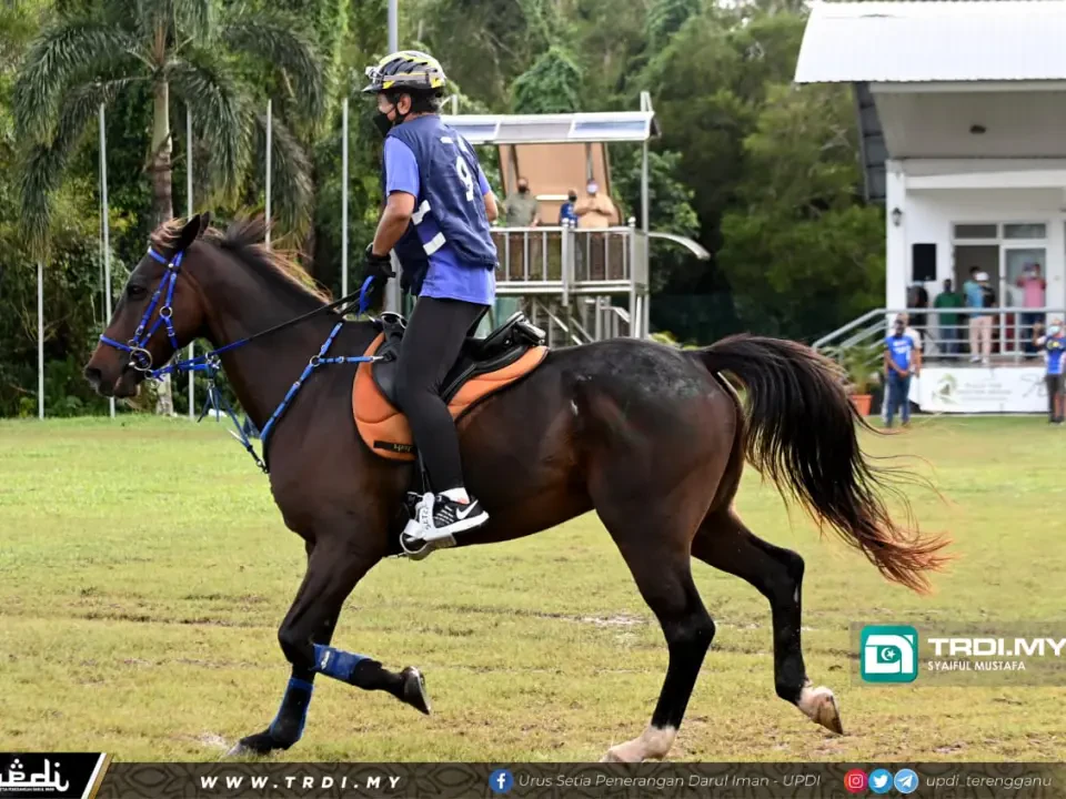 Sultan Terengganu, Faizal Tahir Sertai Kejohanan Kuda Lasak