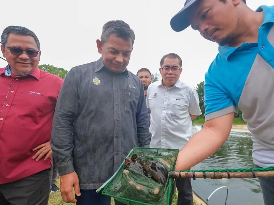 Projek Terbiar Pembenihan Ikan Marin Dihidupkan Semula