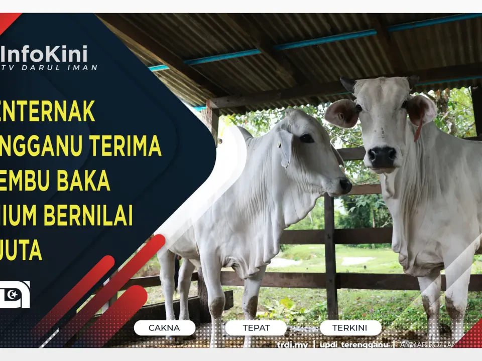 65 Penternak Terengganu Terima 128 Lembu Baka Premium Bernilai RM2 Juta