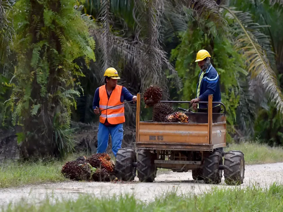 Peneroka Sangkal Fitnah Dianiaya Dalam Tuntutan Terengganu ke Atas FELDA