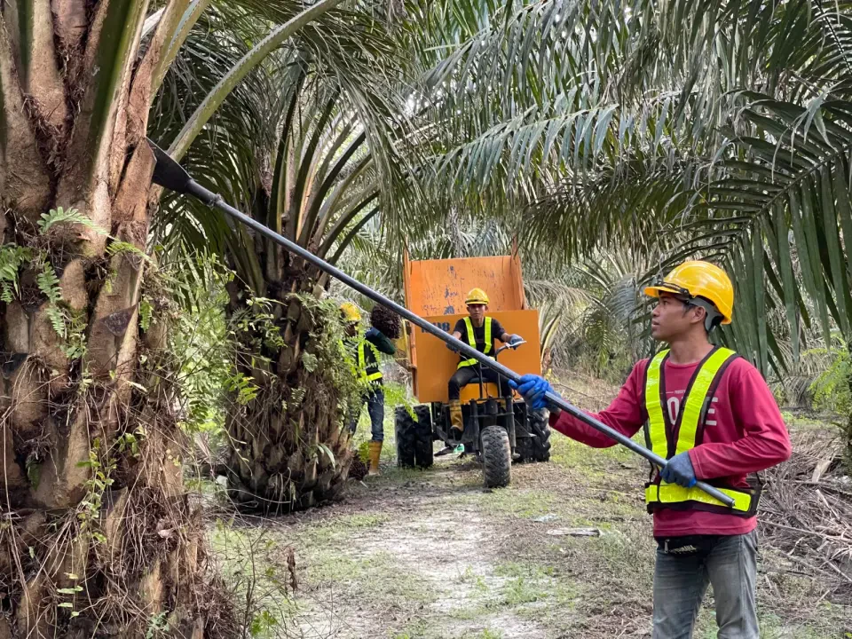 Peneroka, Belia FELDA Sokong Terengganu Tuntut Hak Tanah