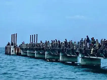 Jeti Lama Kijal Hidup Semula Kerana Candat Sotong