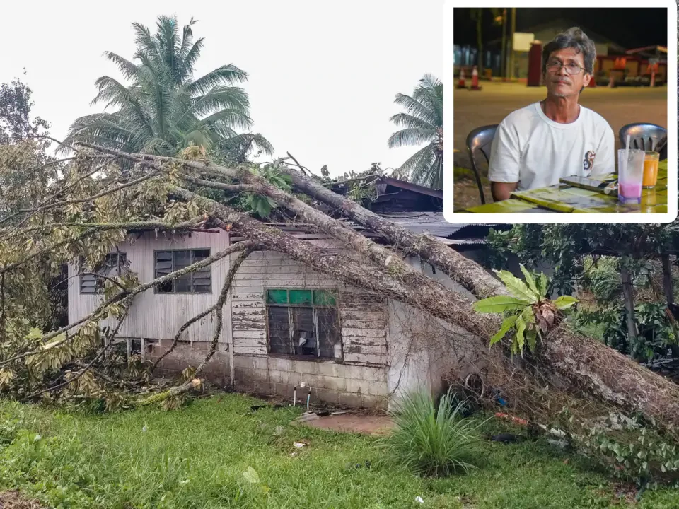Pokok Hempap Rumah Depan Mata, Seminit Selepas Penghuni Keluar