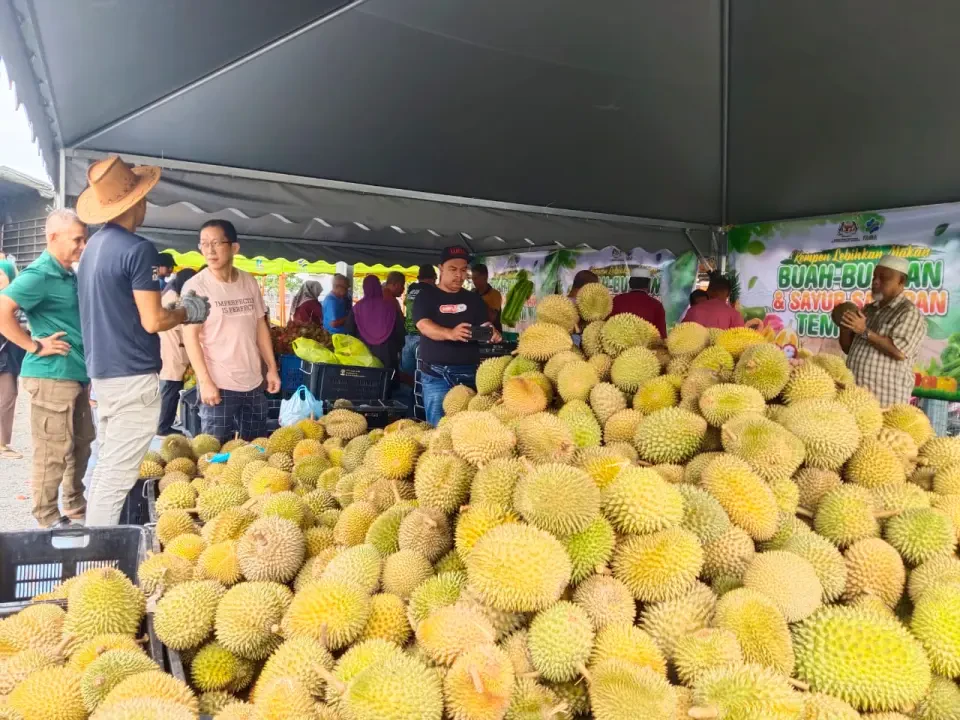 FAMA Aktifkan PMBF Atasi Lambakan Durian 