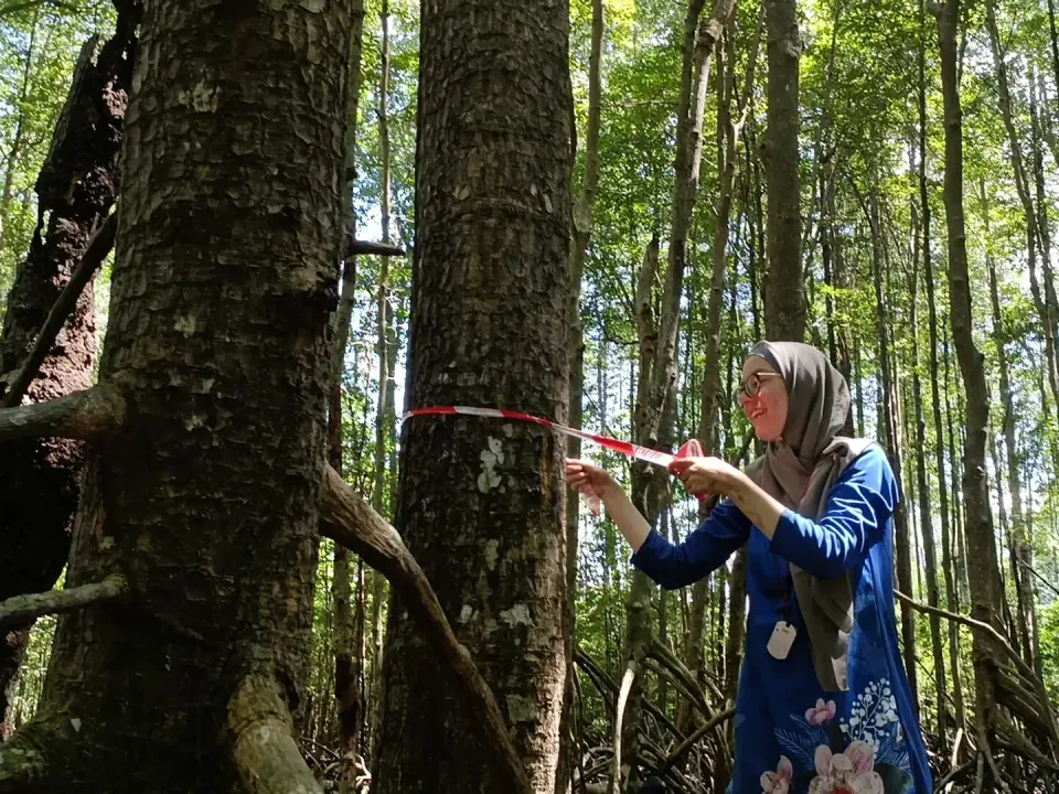 Dua Penyelidik UMT Raih Geran Antarabangsa RM3.9 Juta Pulih Ekosistem Bakau