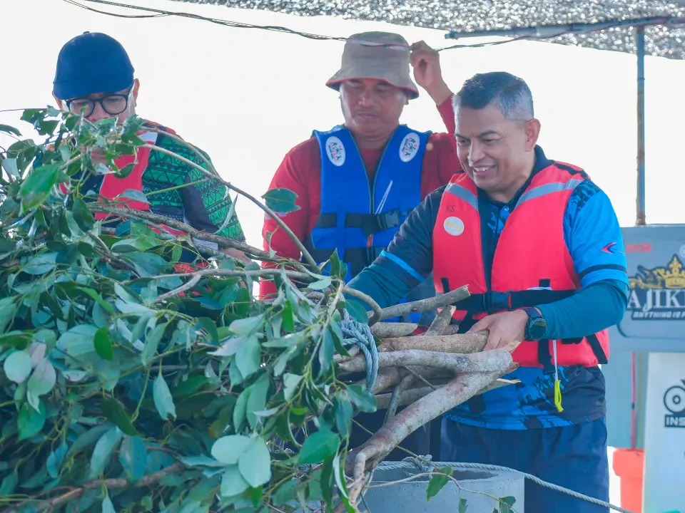Daun Teja Rahsia Unjam Nelayan Terengganu Tahan Lama, Pikat Ikan