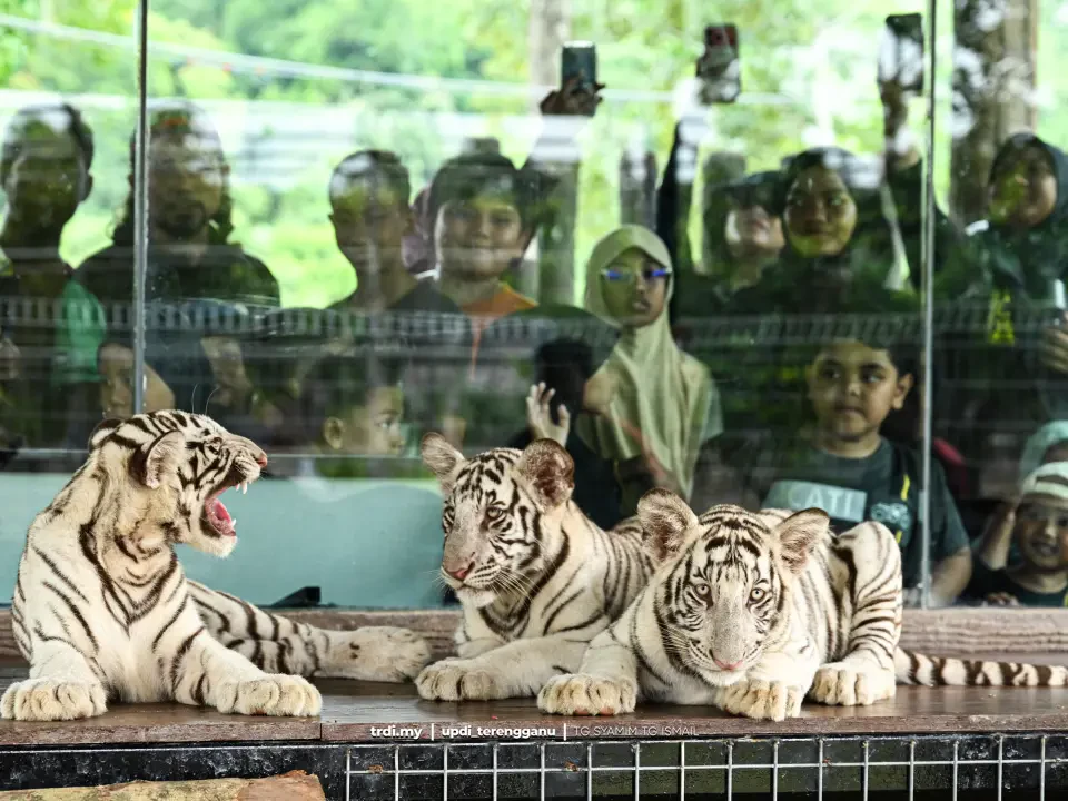 Ayuh Jumpa Rory, Bima dan DB di Zoo Kemaman 