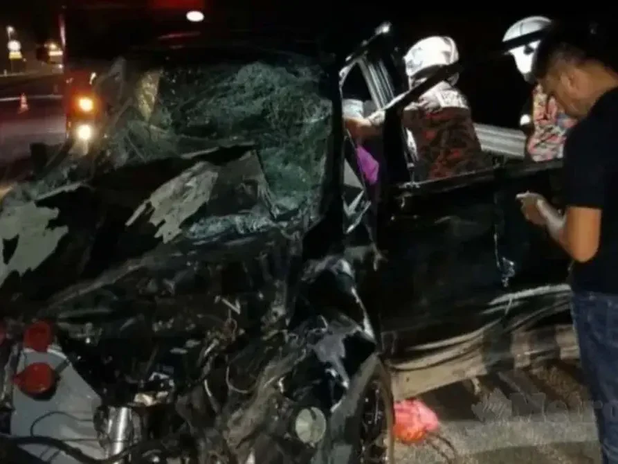 PERHILITAN Pantau Pergerakan Gajah Liar Selepas Insiden Di LPT2