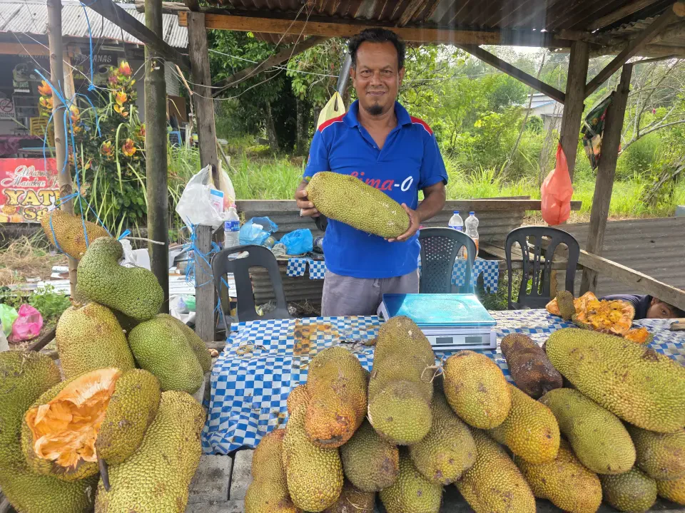 Cempedak Langkap Laku Keras